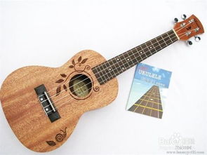 相對好學的樂器推薦